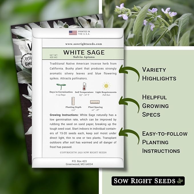 Sow Right Seeds - White Sage Seed for Planting - Non-GMO Heirloom Packet with Instructions for Planting and Growing a Home Herb Garden - Indoors or Outdoors - Make Your Own Herbal Incense (3)