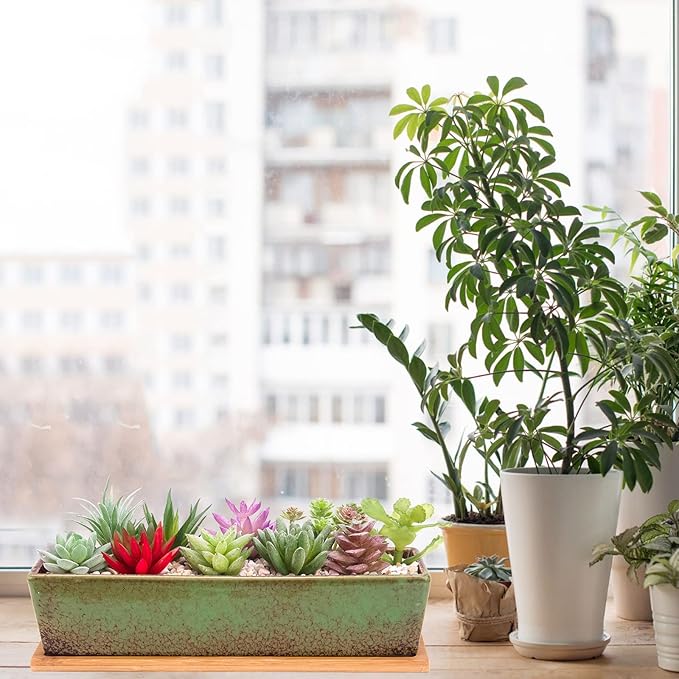 Artketty 12.1 Inch Large Succulent Planters Pots with Drainage Tray, Long Rectangle Ceramic Pots for Indoor Cactus/Succulent Plants Shallow Bonsai Window Box for Home Garden Decor (Green)
