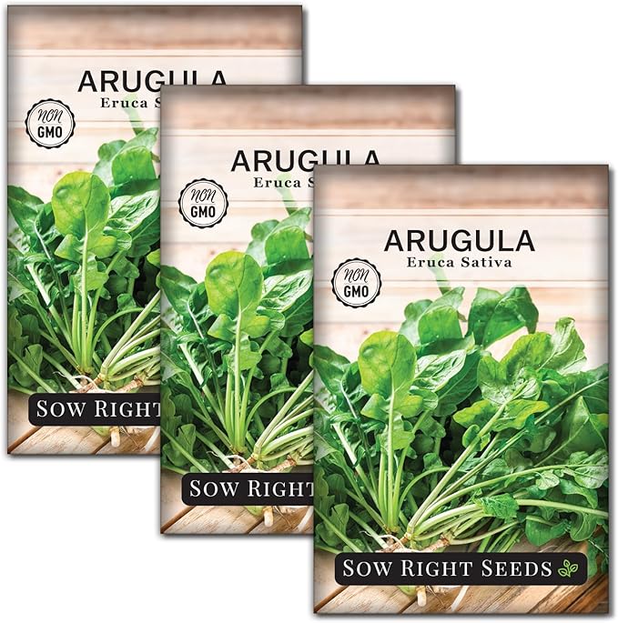 Sow Right Seeds - Arugula Seeds for Planting - Non-GMO Heirloom Seeds with Instructions to Plant a Home Vegetable Garden - Indoors, Hydroponics or Outdoors - Salad Greens - Grow Kitchen Herbs (3)