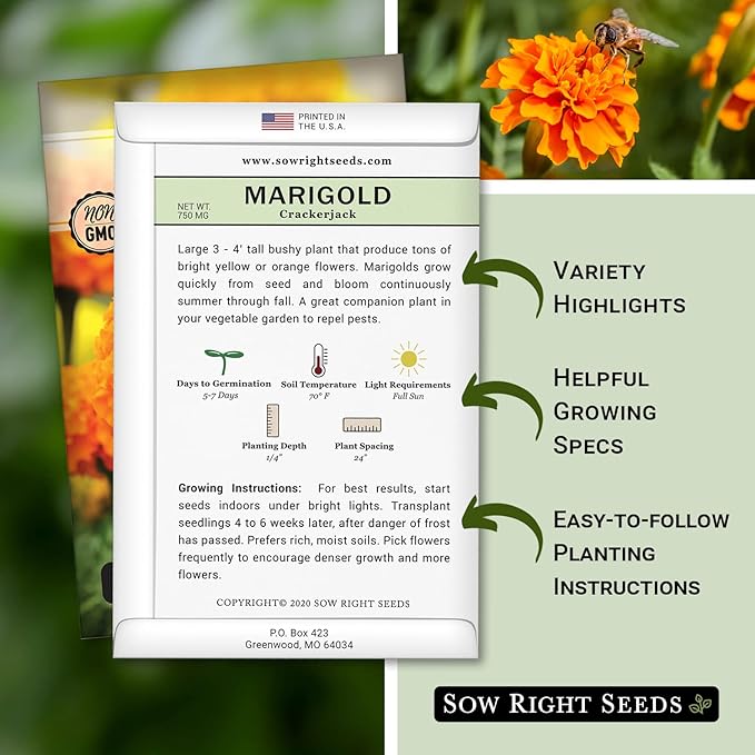 Sow Right Seeds Crackerjack African Marigold Seeds for Planting - Non-GMO Heirloom Seed Packet with Instructions - Companion Plant - Orange & Yellow Blooms Attract Pollinators, Deter Mosquitoes (4)