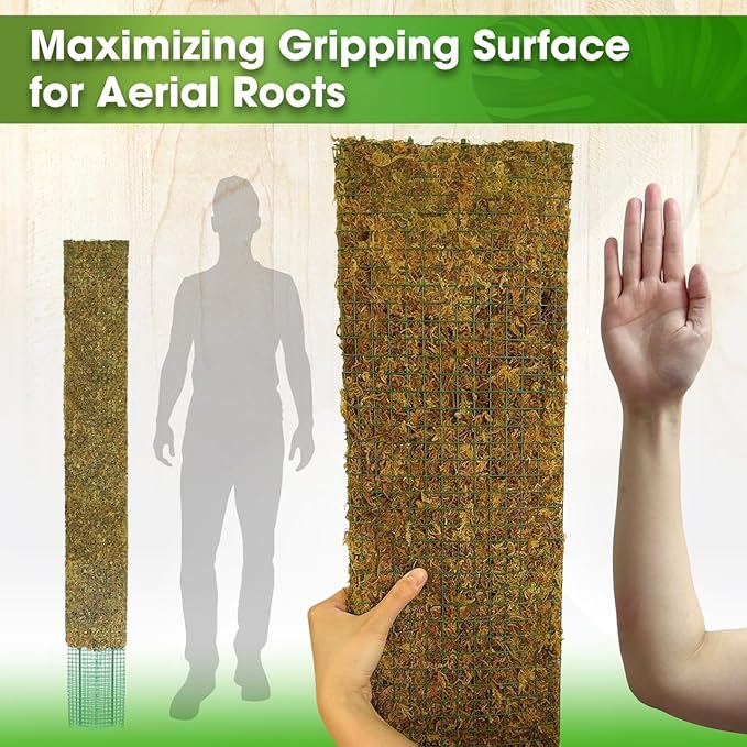 DUSPRO 59ββ Flat Mesh Moss Poles for Climbing Plants Monstera Flat Stacks for Tall Plant with Real Moss Moss Pole for Indoor Plants Plant Stick Support Tall Indoor Plants Support Stakes (1pc., 59'')