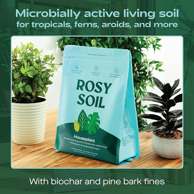 Indoor Potting Soil for House Plants - Organic Potting Soil Mix for Indoor Plants - Enriched w/Root-Boosting Biochar for Foliage Plants, Flowers, Herbs - Peat Free, Less Prone to Gnats - 4qt