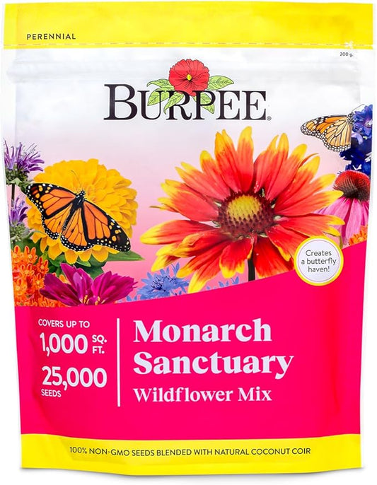 Burpee Wildflower Mix Monarch Sanctuary Seeds | 25,000 Non-GMO Seeds, 3 Types of Butterfly Weed Plus Cornflower, Lupine, Echinacea, and More | Pollinator Garden Attracts Monarch Butterflies