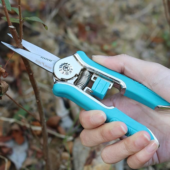FLORA GUARD 6.5 Inch Micro-Tip Pruning snip Gardening Hand Pruning Shears Trimming Scissors with Stainless Steel(Blue)
