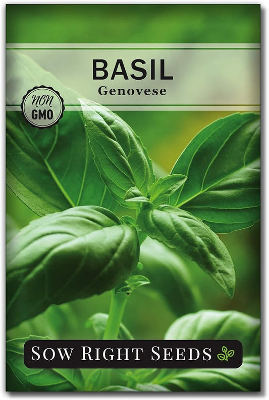 Sow Right Seeds - Genovese Sweet Basil Seed for Planting - Non-GMO Heirloom Packet with Instructions to Plant and Grow a Kitchen Herb Garden - Indoors or Outdoor - Great for Hydroponic Gardening (1)