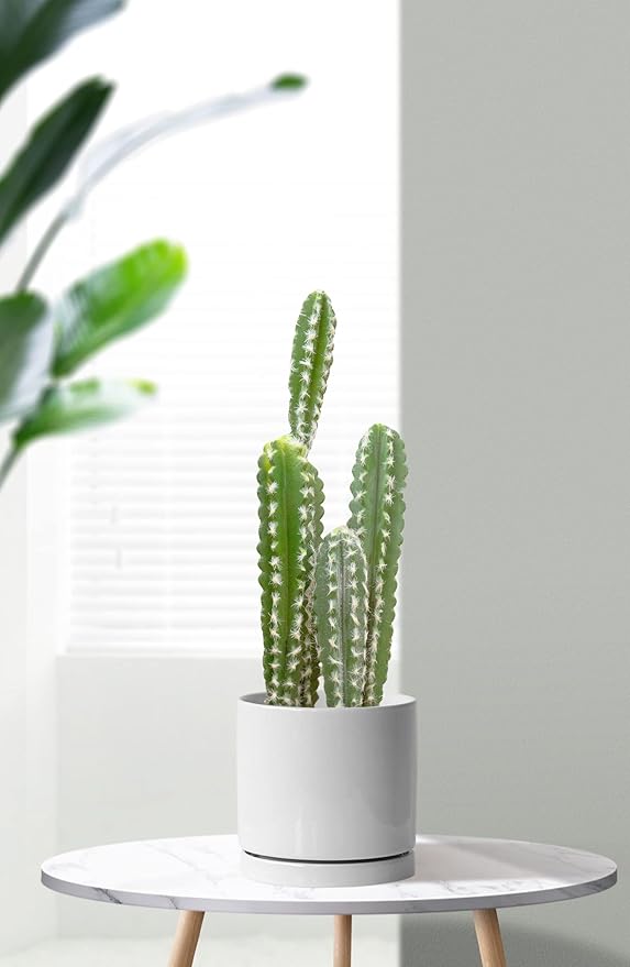 Aveyas 6 inch Ceramic Plant Pot with Drainage Hole and Saucer - Suitable for Indoor and Outdoor Use, Modern Planters for House Garden Orchid Flower Snake Monstera Plants (6", Glossy White)