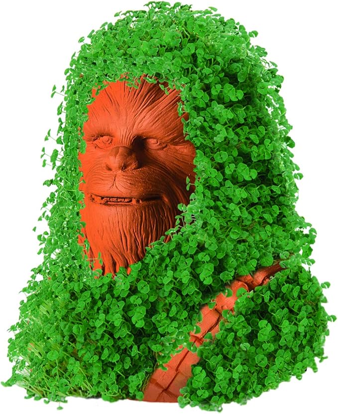 Chia Pet Star Wars Chewbacca with Seed Pack, Decorative Pottery Planter, Easy to Do and Fun to Grow, Novelty Gift, Perfect for Any Occasion