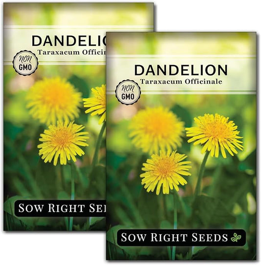 Sow Right Seeds - Common Dandelion Seeds for Planting - Non-GMO Heirloom Packet with Instructions to Grow an Outdoor or Indoor Herb Garden - Herbal Teas & Medicinal Uses - Great for Wildlife (2)