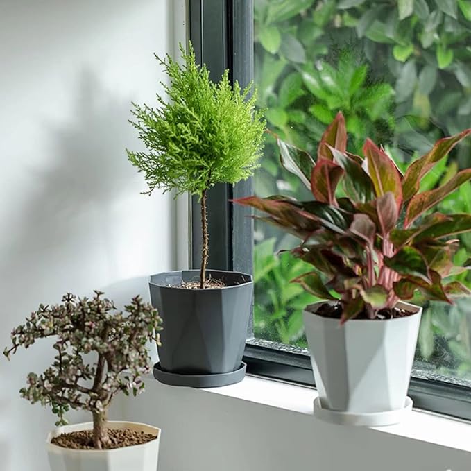 InmeRun Plant Pots Indoor Plastic Flower Pots Outdoor 5 inch Set of 6 Pack with Drainage Holes and Saucers for Garden Pots (5inch-12pcs)