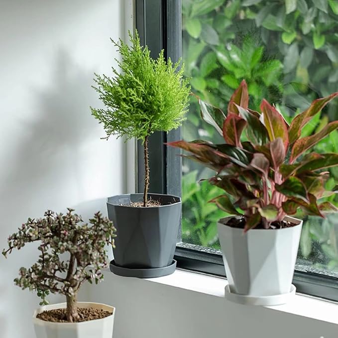 InmeRun Plant Pots Indoor Plastic Flower Pots Outdoor 5 inch Set of 6 Pack with Drainage Holes and Saucers for Garden Pots (7 in 12pcs)