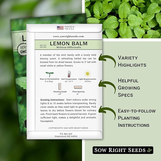 Sow Right Seeds - Lemon Balm Seeds for Planting - Non-GMO Heirloom Packet with Instructions - Easy to Grow Herb Garden - Aromatic Herb and Great for Herbal Teas - Perennial Mint Relative (2)