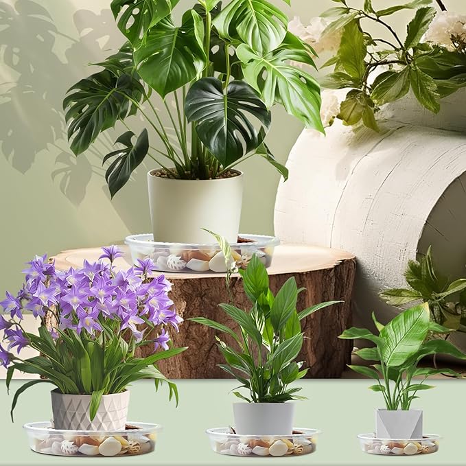 9 Pack Plant Saucers (6inch /8inch /10inch), Heavy Sturdy Plant Trays Pot Tray for Indoor Clear Plastic Flower Pot Saucers Thicker Plant Water Drip Trays for pots- Clear