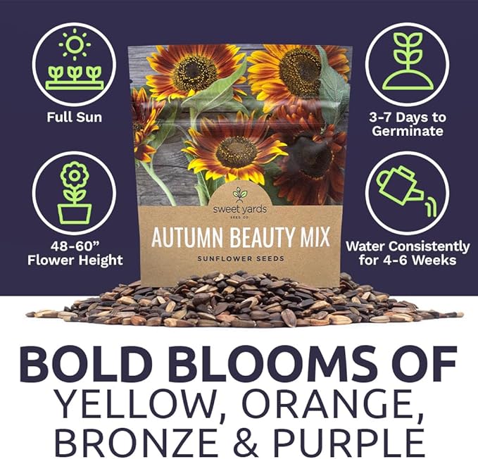 Autumn Beauty Sunflower Seeds – Extra Large Packet – Over 1,400 Open Pollinated Non-GMO Wildflower Seeds – Helianthus annus – Beautiful Shades of Gold, Bronze, Yellow, and Purple