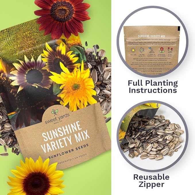 Bulk Sunflower Seeds - Variety Mix 10 Types of Beautiful Sunflowers - 1/4 Pound Bag Open Pollinated Sunflower Seeds for Planting