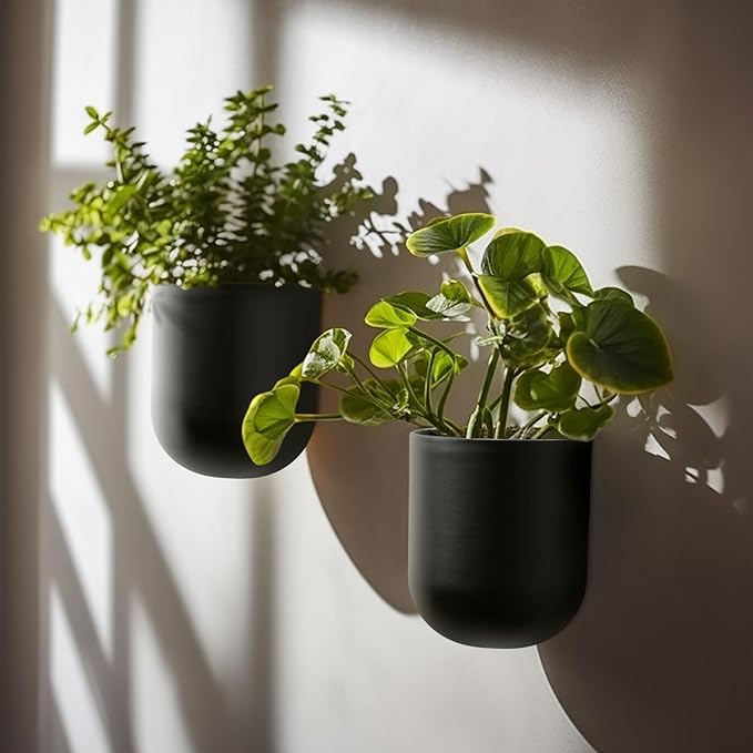 LA JOLIE MUSE Wall Hanging Planters for Indoor Plants,Hanging Flower Pots for Air Plants Succulent, Set of 2, 6 Inch, Black
