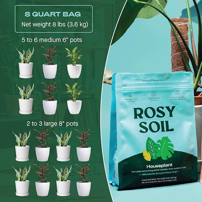 Indoor Potting Soil for House Plants - Organic Potting Soil Mix for Indoor Plants - Enriched w/Root-Boosting Biochar for Foliage Plants, Flowers, Herbs - Peat Free, Less Prone to Gnats - 8qt
