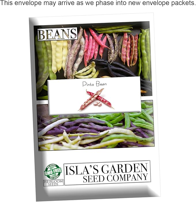 Pinto Bean Plant Seeds, 30+ Heirloom Seeds Per Packet, (Isla's Garden Seeds), Non GMO Seeds, 90% Germination Rate, Botanical Name: Phaseolus vulgaris