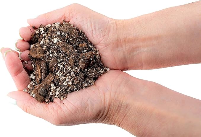 Organic Banana Tree Soil Mix - Specially Designed for Thriving Banana Plants - Nutrient-Rich Blend for Healthy Root Development and Lush Foliage (2 Quart)