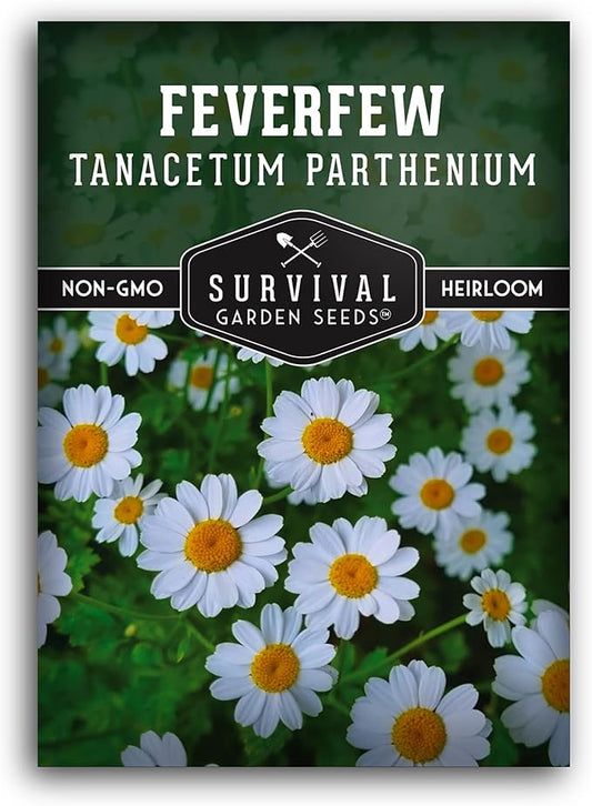 Feverfew Seeds for Planting - 1 Packet with Instructions to Plant and Grow Your Own Bachelor's Buttons in Your Home Vegetable or Herb Garden - Non-GMO Heirloom Variety - Survival Garden Seeds