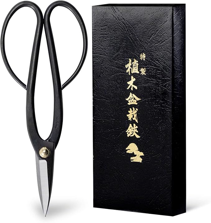Wazakura Ashinaga Bonsai Pruning Scissors 8inch (200mm) MADE IN JAPAN, Long Handle Bonsai Cutter in Carbon Steel, Rose Pruning Shears, Flower Scissors, Japanese Gardening Tools