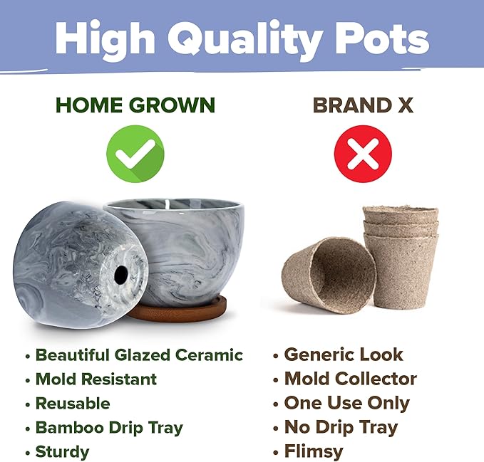HOME GROWN Bonsai Tree Kit - Premium Ceramic Starter Kit - 4 Variety of Bonsai - Unique Gift for Men and Women Gardeners