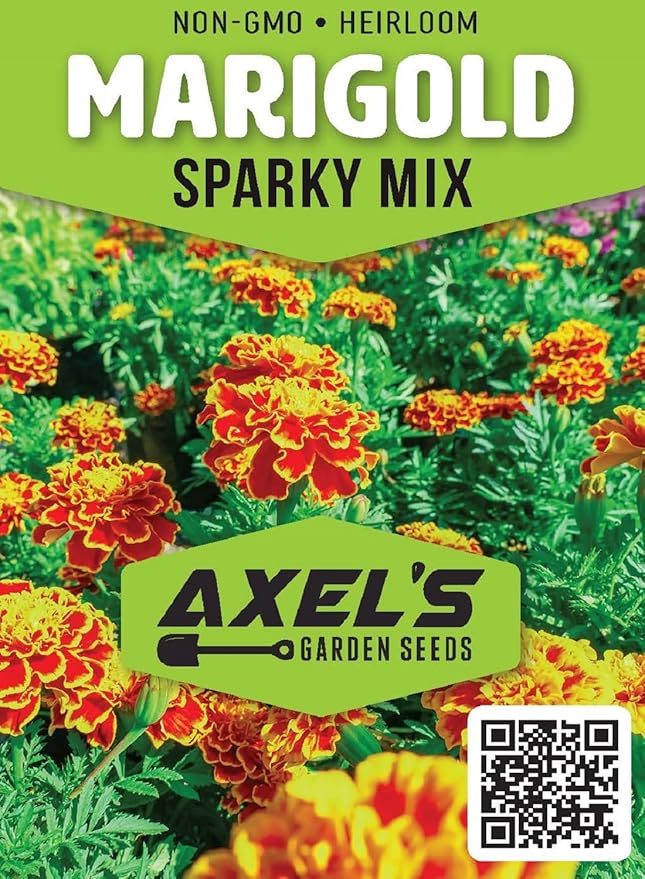 French Marigold Seeds for Planting - Plant & Grow Heirloom French Marigolds in Home Outdoor Garden – Planting Instructions for Vibrant Rare Blooms – Great Gardening Gift, 5 Packets, Orange, Red