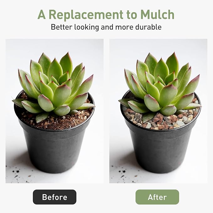 GASPRO 5lbs Lava Rocks for Plants, 1/5 Inch Pea Gravel for Succulent, Pots Indoor, Terrarium, Cactus, Bamboo, Bonsai Tree, Top-Dressing, Mixed Color Volcanic Rocks, Good Drainage