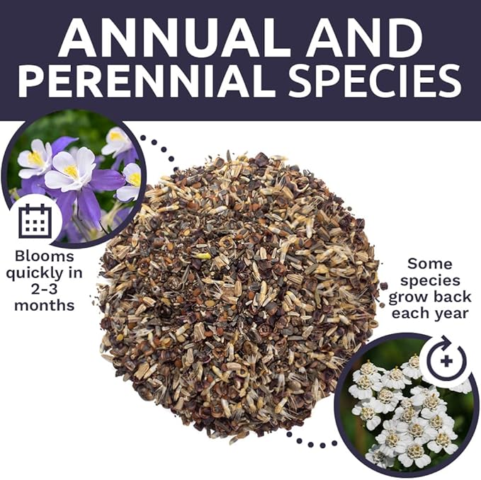 Deer Resistant Wildflower Seed Mixture - Bulk 1/4 Pound Bag - Over 60,000 Deer Tolerant Seeds - Open Pollinated and Non GMO