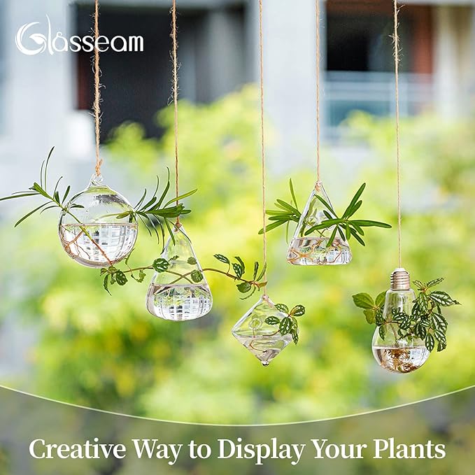 Glasseam Hanging Planters Glass Terrarium: 5Pcs Modern Plant Propagation Stations Hydroponic Wall Vases for Air Plants Flowers Indoor Window Home Decor