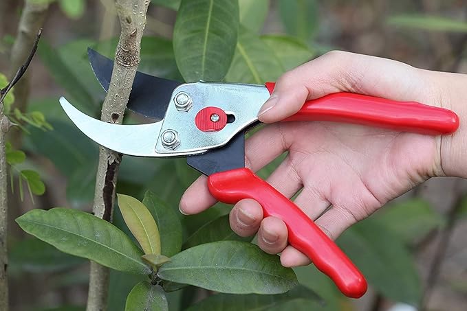Flora Guard Garden Shears 8.5" Bypass Pruning Shears, Professional Ultra Sharp Sk5 Steel Garden Clippers, Heavy Duty Plant Cutting Scissors Garden Tools Supplies, Hedge Branch Trimmer, Super Durable