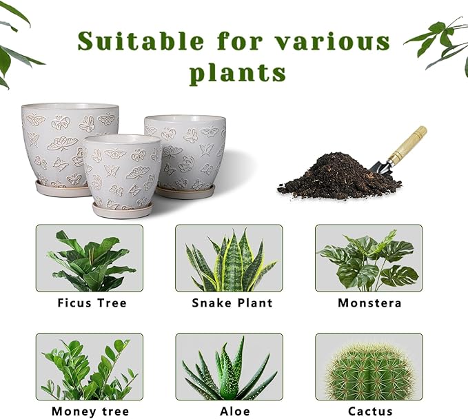 Ceramic Planter Pot - 6 Inch Plant Pot with Drainage Hole and Saucer, Succulent Round Flower Pot for Plants Indoor Outdoor, White