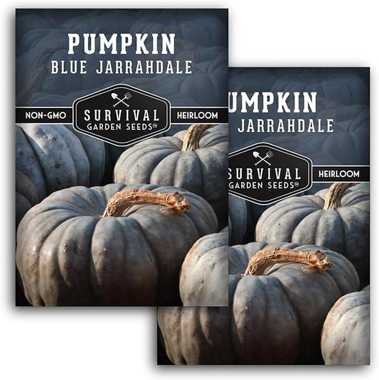 Blue Jarrahdale Pumpkin Seeds for Planting - 2 Packets with Instructions to Plant & Grow Decorative and Flavorful Blue Pumpkins in Your Home Garden - Non-GMO Heirloom Variety - Survival Garden Seeds