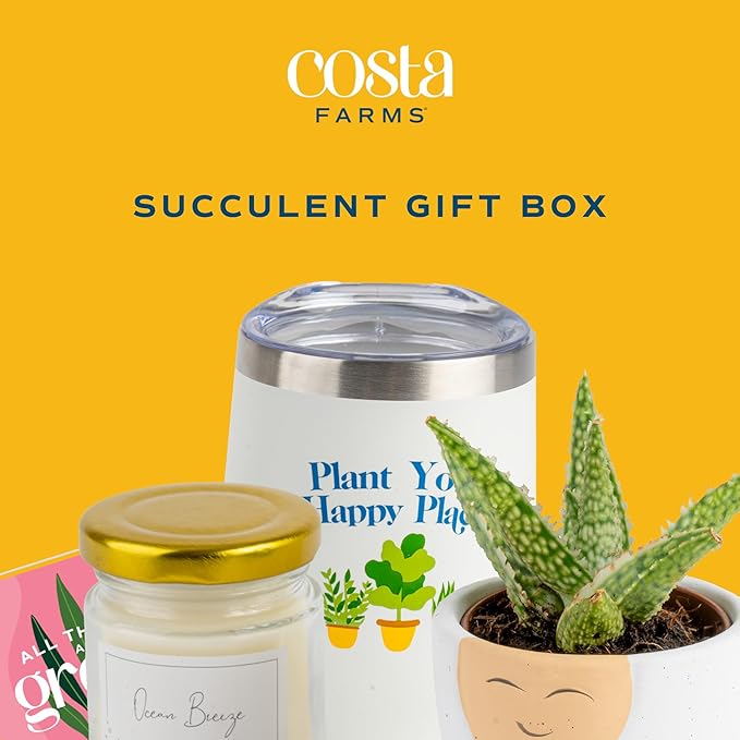 Costa Farms Live Plant Gift Box, Succulent Live Indoor Houseplant, Perfect Birthday and Holiday Gift, Includes Mini Succulent, Insulated Tumbler, Soy Candle, Collectible Sticker, Cute Room Decor