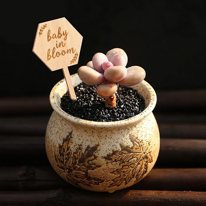 Baby in Bloom Succulent Tags Baby Shower Favors Gifts, PARBEE 40PCS Hexagon Plant Stakes Labels Gift Wooden Garden Stakes Succulent Plant Markers