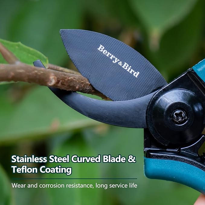Berry&Bird Garden Clippers, Pruning Scissors with Stainless Steel Teflon Coating Blades and Handle, Plant Clippers Work 3 Times Easier with Spring, Garden Shears for Trimming Rose, Small Stem, Bonsai