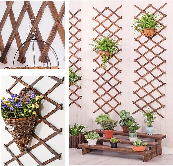 Wooden Lattice Wall 2Pack-Expandable Plant Garden Trellis for Climbing Plants Outdoor Air Plant Vertical Rack Wall Decor for Room Patio
