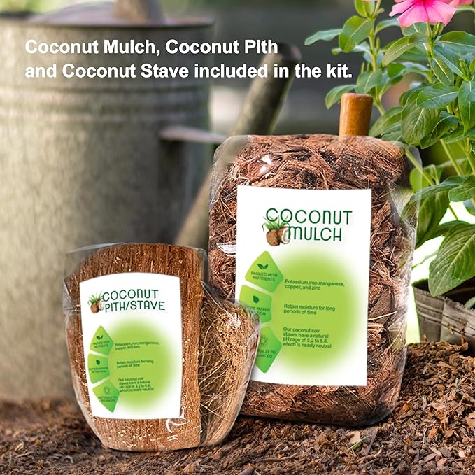 Handmade 100% Thai Bamboo 6 Inch Signature Super Sanctuary SIAM Orchid Hanging Basket with Nursery Grade Coconut Shell Staves Coir Pith Sponge & Husk Mulch