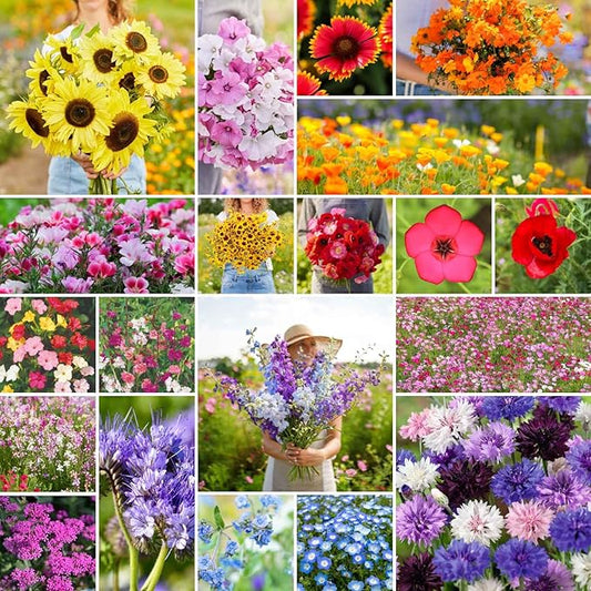 Eden Brothers All Annual Wildflower Mixed Seeds for Planting, 25 lb, 12,00,000+ Seeds with Sunflower, Indian Blanket, Scarlet Flax, Attracts Pollinators, Plant in Spring, Zones 3, 4, 5, 6, 7, 8, 9, 10
