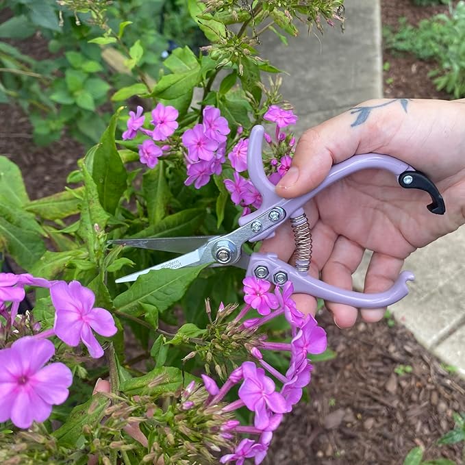 Modern Sprout Pruning Shears for Gardening, Herb Snips, Flower Cutting Scissors, Indoor Plant Shears, Lightweight, Ergonomic, Carbon Steel Blade, Easy-Lock Safety, Aesthetic (Lavender)