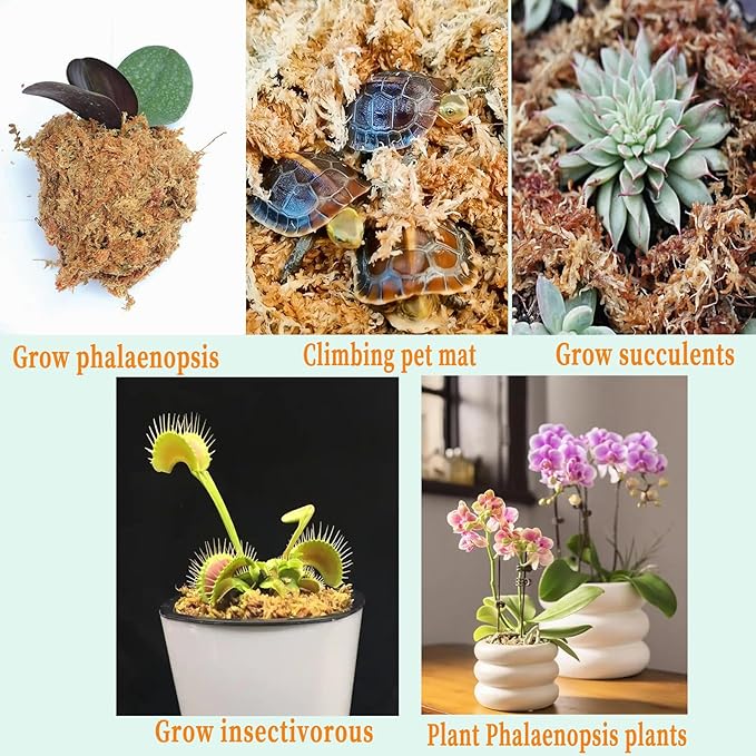 2.2LBS Premium Sphagnum Moss, Reptiles Dried Moss, Plants Propagation Plant Growing Medium for Monstera Orchid Potting Mix (Appx 55 QT)