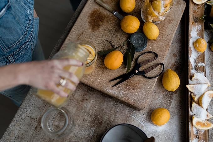 Barebones Garden Scissors - Walnut Plant Scissors - Garden Supplies and Indoor Plant Accessories - Plant Shears with Wide Handles - Comfortable Fit Hand Pruners (Large)