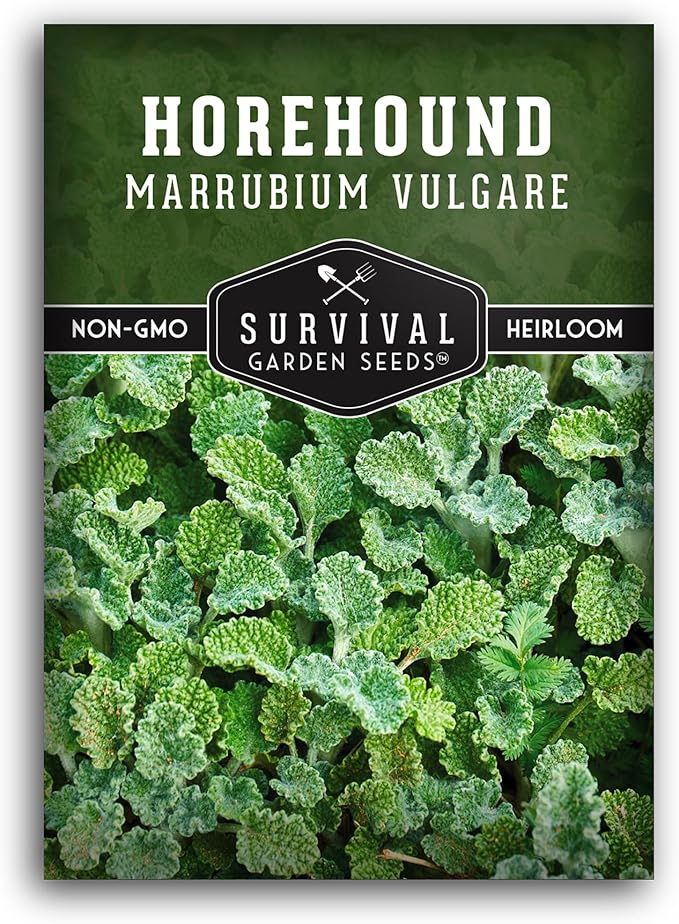 Horehound Seed for Planting - 1 Packet with Instructions to Plant and Grow Beneficial Marrubium Medicinal Herbs in Your Home Vegetable Garden - Non-GMO Heirloom Variety - Survival Garden Seeds