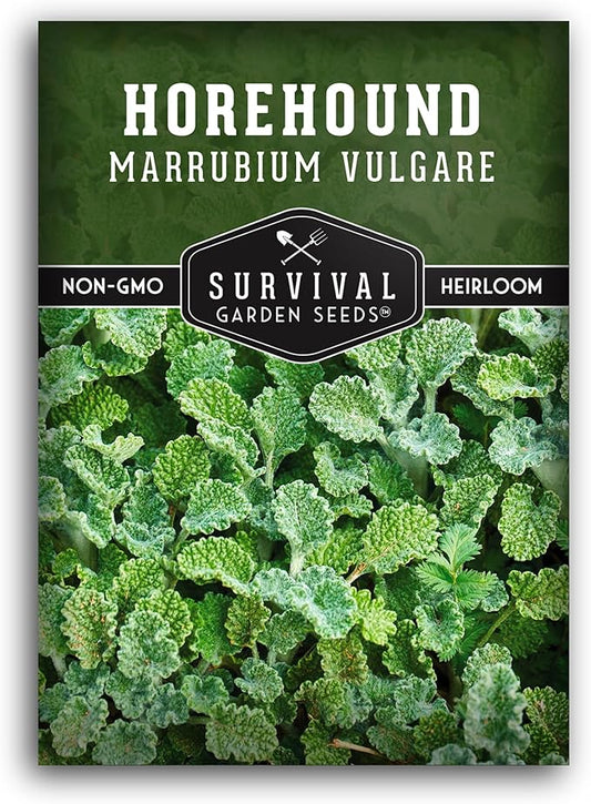 Horehound Seed for Planting - 1 Packet with Instructions to Plant and Grow Beneficial Marrubium Medicinal Herbs in Your Home Vegetable Garden - Non-GMO Heirloom Variety - Survival Garden Seeds
