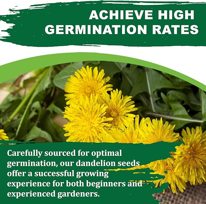 TKE Farms & Gardens - Dandelion Seeds for Planting, 500 Mg, 500+ Non-GMO, Heirloom Seeds, Produces Medicinal Greens & Edible Flowers, Supports Wildlife & Pollinators, Herbal Teas