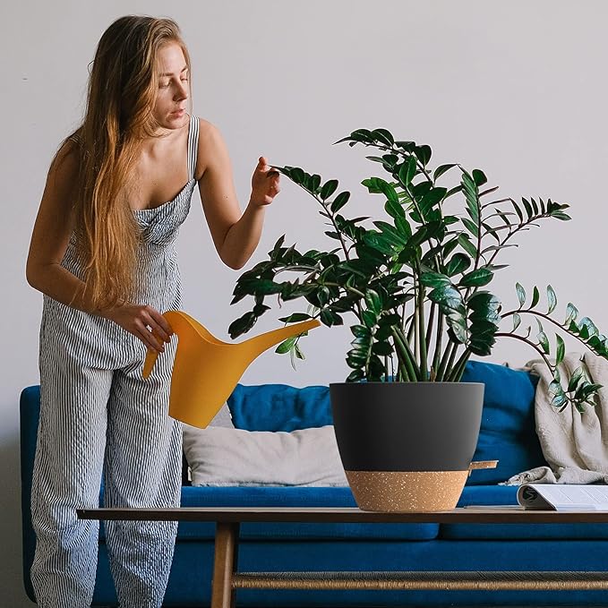 WOUSIWER 10 inch Self Watering Planters, 2 Pack Large Plastic Plant Pots with Deep Reservior and High Drainage Holes for Indoor Outdoor Plants and Flowers, Black with Terracotta