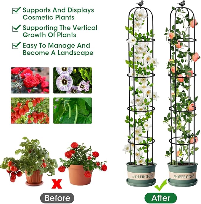 2 Pcs Garden Trellis for Climbing Plants, 6.2 Ft Rustproof Metal Pipe with Heavy Duty Plastic Coated, Garden Outdoor Indoor Potted Plant Support, Obelisk Garden Trellis for Climbing Vine