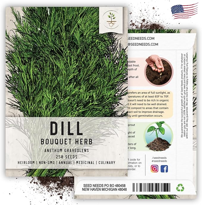Seed Needs, Bouquet Dill Seeds - 250 Heirloom Seeds for Planting Anethum graveolens - Culinary Herb to Grow Indoors or Outdoors, Non-GMO & Untreated (1 Pack)