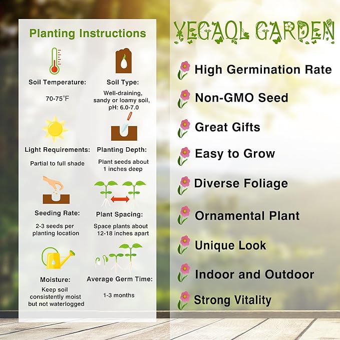 Turk's Cap Lily Seeds Lilium Superbum Elegant and Distinct Appearance Hardy Perennial Plant Low-Maintenance Attractive to Pollinators for Garden Beds, Borders Outdoor 25Pcs by YEGAOL Garden