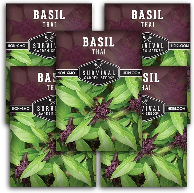 Survival Garden Seeds - Thai Basil Seed for Planting - Packet with Instructions to Plant and Grow Asian Basil Indoors or Outdoors in Your Home Vegetable Garden - Non-GMO Heirloom Variety - 5 Pack