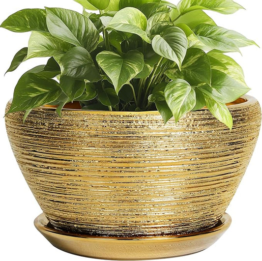 Ceramic Plant Pot Indoor - 9 Inch Planters for Outdoor Plants Decorative Plant Pot with Drainage Hole and Saucer Round Planter Modern Flower Pot Decorative for House Decor Gold